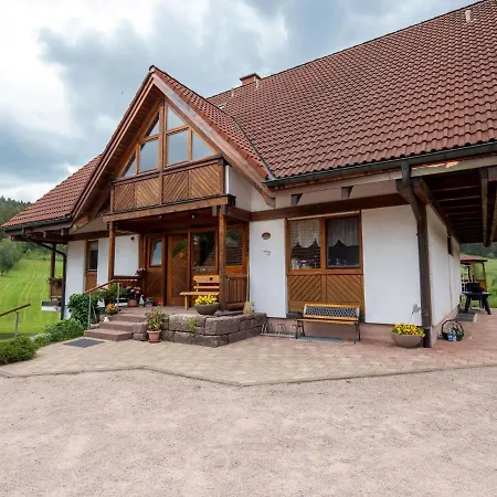 Appartement Stunning In Hornberg-reichenbach With Balcony *
