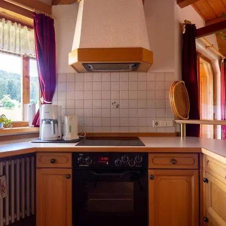 Appartement Stunning In Hornberg-reichenbach With Balcony Oberreichenbach (Ortenaukreis)