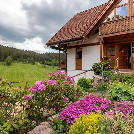 Stunning In Hornberg-reichenbach With Balcony Appartement