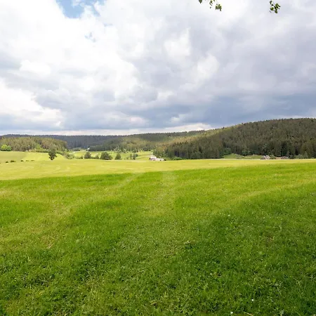 Stunning In Hornberg-reichenbach With Balcony Appartement Oberreichenbach (Ortenaukreis)