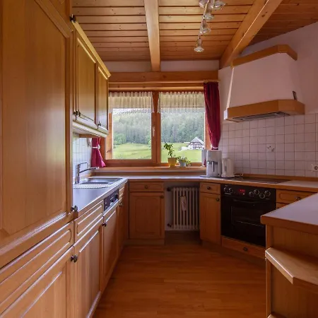 Appartement Stunning In Hornberg-reichenbach With Balcony Oberreichenbach (Ortenaukreis)