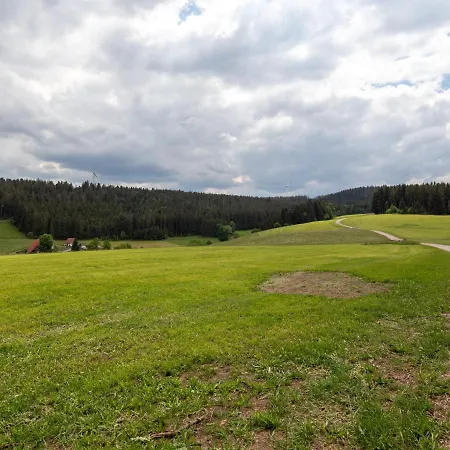 Stunning In Hornberg-reichenbach With Balcony *